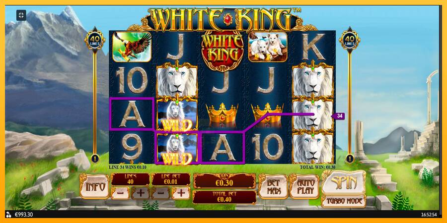 White King gaming machine for money, picture 9