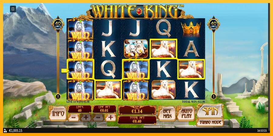 White King gaming machine for money, picture 11