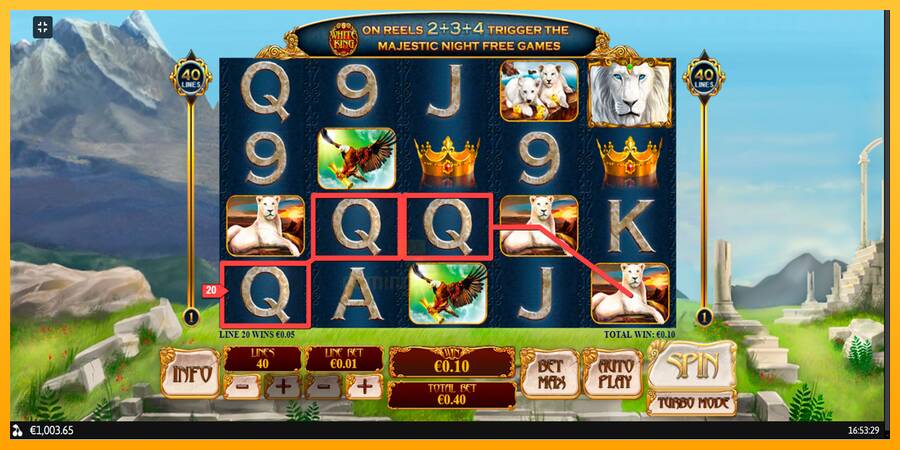 White King gaming machine for money, picture 12