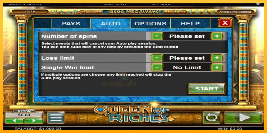 Queen of Riches gaming machine for money, picture 7