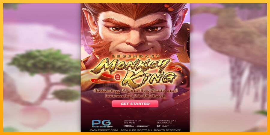 Legendary Monkey King gaming machine for money, picture 1