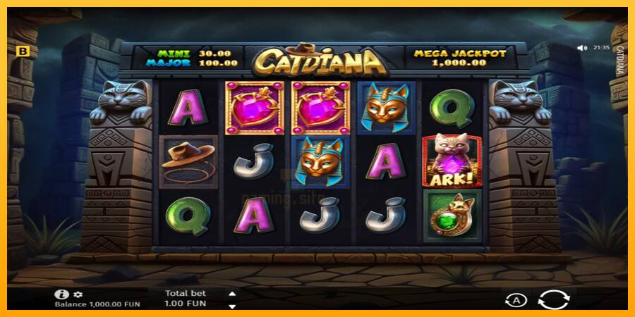 Catdiana gaming machine for money, picture 1