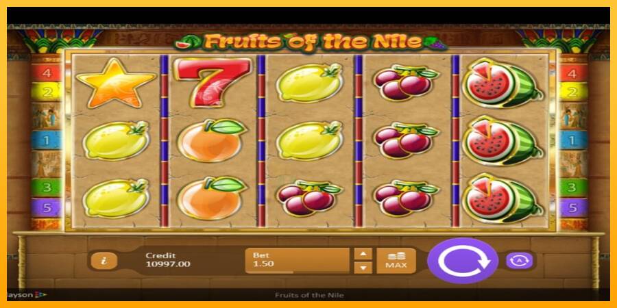 Fruits of the Nile gaming machine for money, picture 4