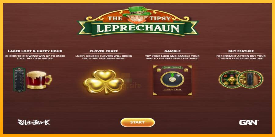 The Tipsy Leprechaun gaming machine for money, picture 1