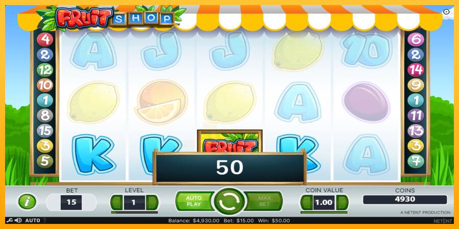 Fruit Shop gaming machine for money, picture 4