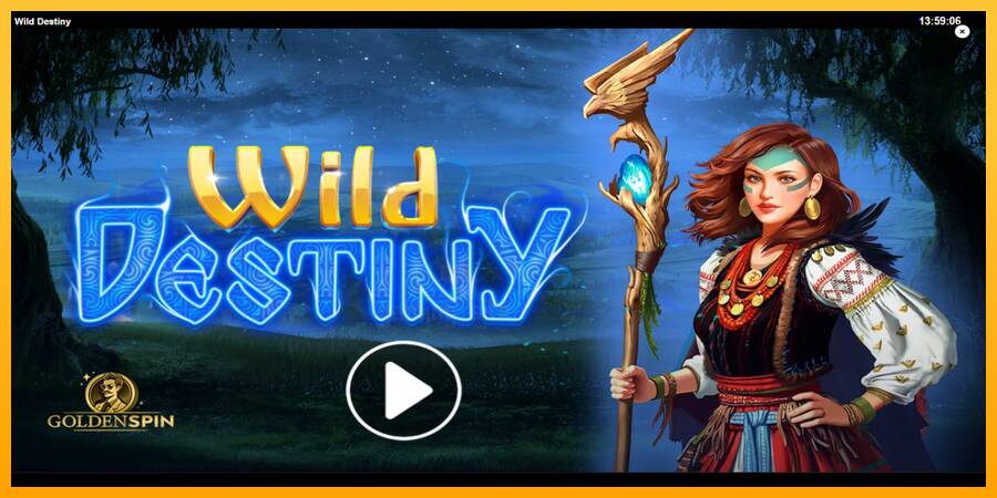 Wild Destiny gaming machine for money, picture 1