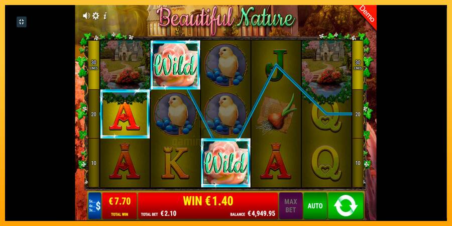 Beautiful Nature gaming machine for money, picture 9