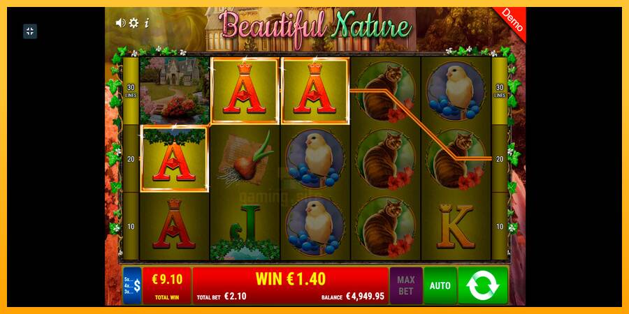 Beautiful Nature gaming machine for money, picture 10