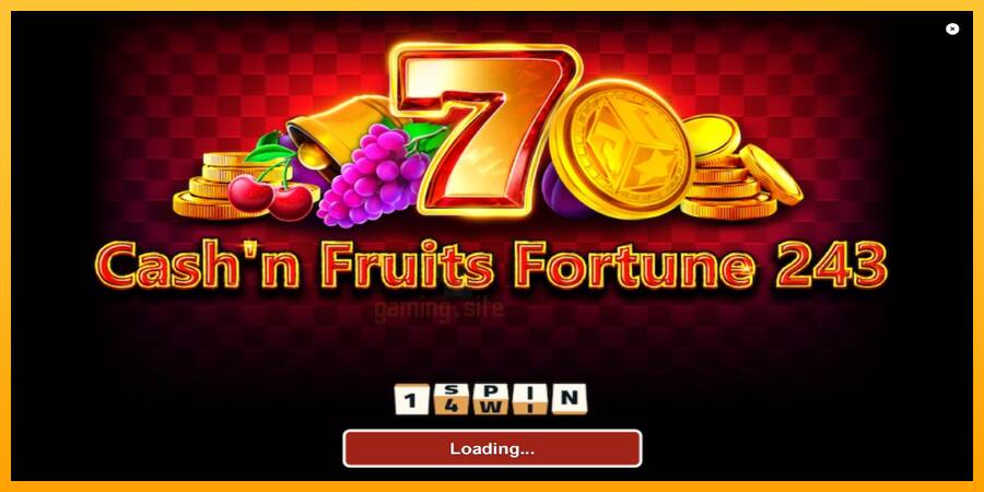 Cashn Fruits Fortune 243 gaming machine for money, picture 1