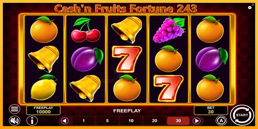 Cashn Fruits Fortune 243 gaming machine for money, picture 2