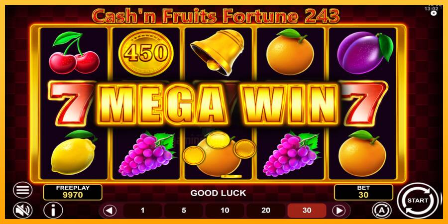 Cashn Fruits Fortune 243 gaming machine for money, picture 3