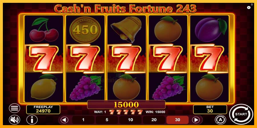 Cashn Fruits Fortune 243 gaming machine for money, picture 4