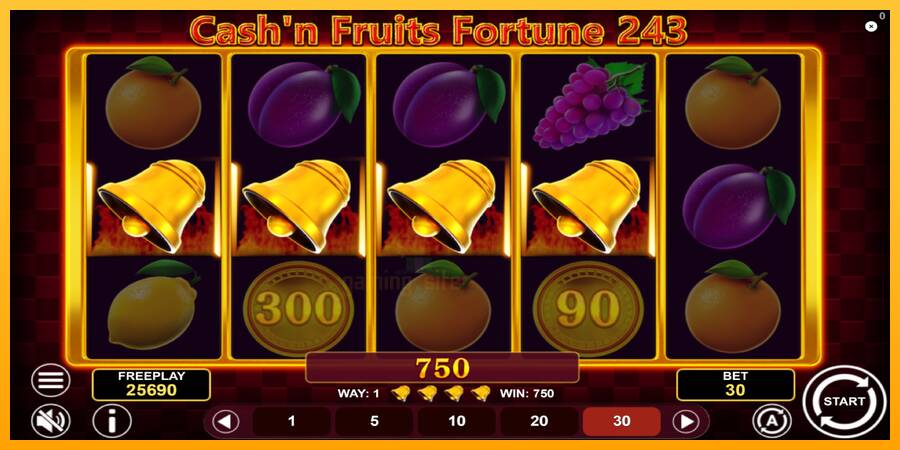 Cashn Fruits Fortune 243 gaming machine for money, picture 5