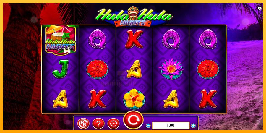 Hula Hula Nights gaming machine for money, picture 1