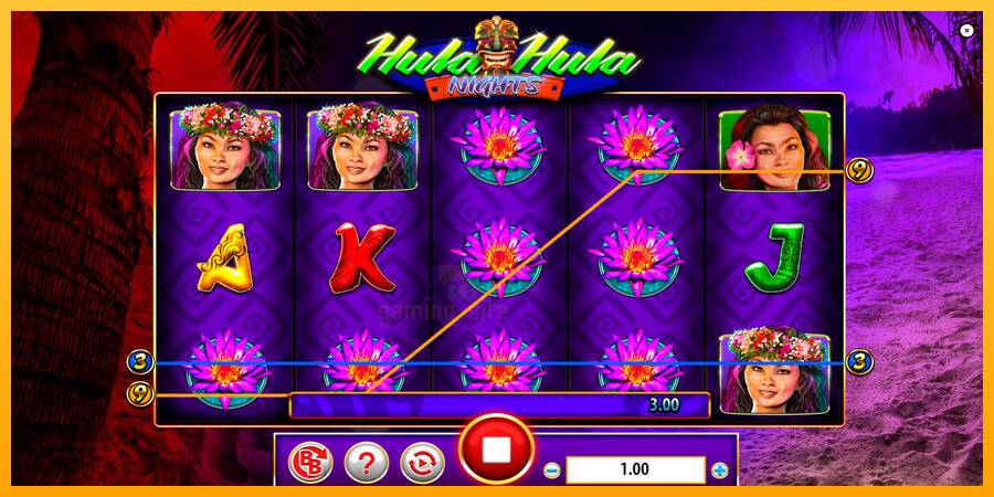 Hula Hula Nights gaming machine for money, picture 2