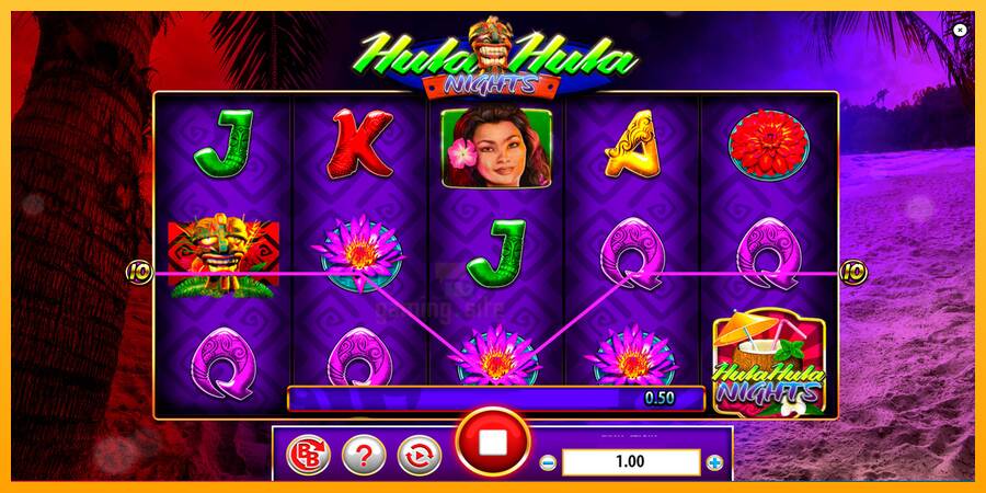 Hula Hula Nights gaming machine for money, picture 3