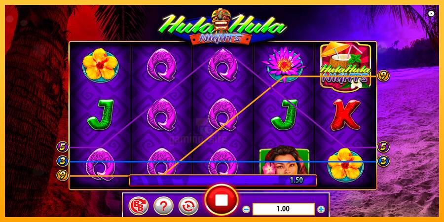 Hula Hula Nights gaming machine for money, picture 5