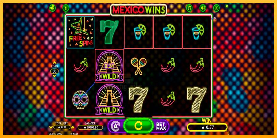 Mexico Wins gaming machine for money, picture 5