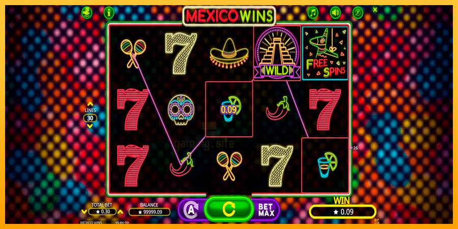 Mexico Wins gaming machine for money, picture 6