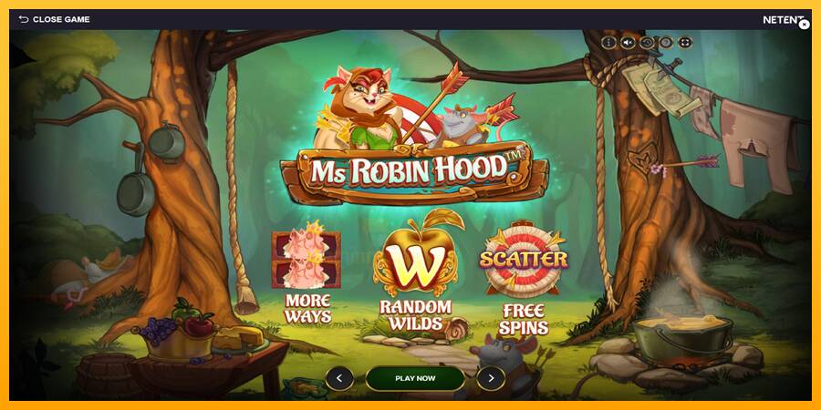 Ms Robin Hood gaming machine for money, picture 1