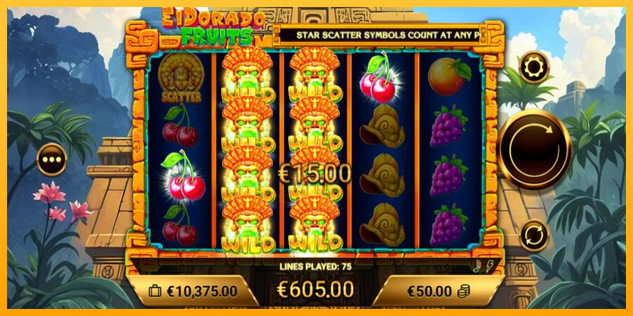 El Dorado Fruits gaming machine for money, picture 4