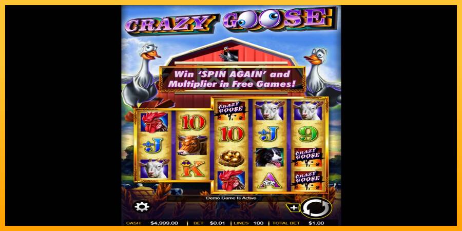 Crazy Goose gaming machine for money, picture 1