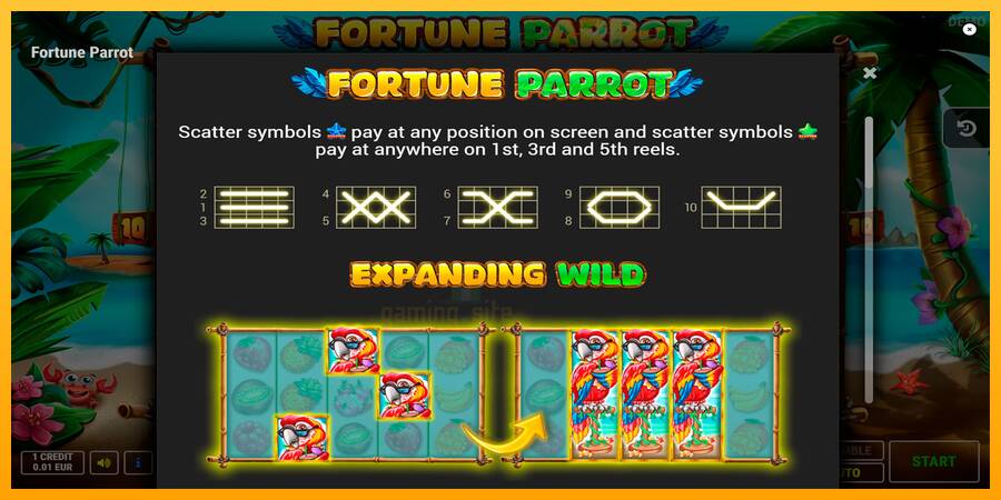 Fortune Parrot gaming machine for money, picture 7