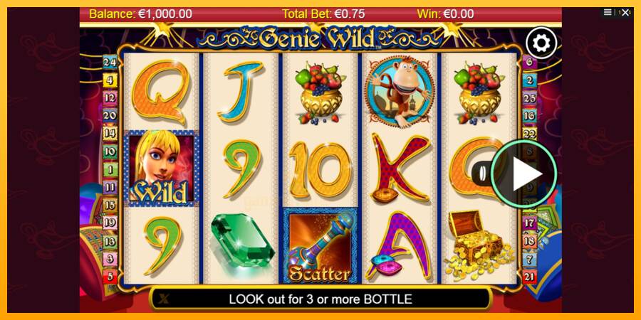 Genie Wild gaming machine for money, picture 1