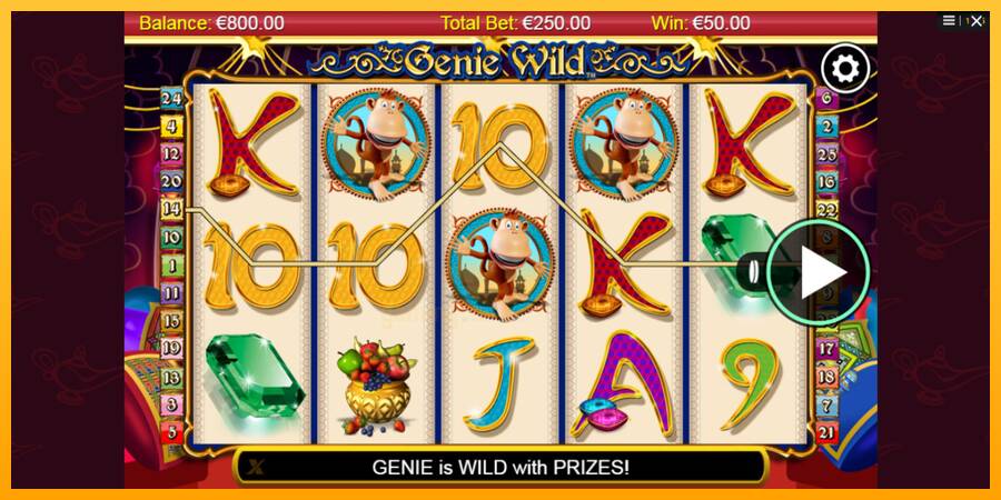 Genie Wild gaming machine for money, picture 2