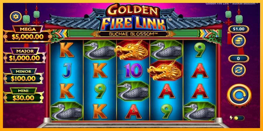 Golden Fire Link Buchae Blossom gaming machine for money, picture 1