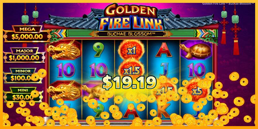 Golden Fire Link Buchae Blossom gaming machine for money, picture 4