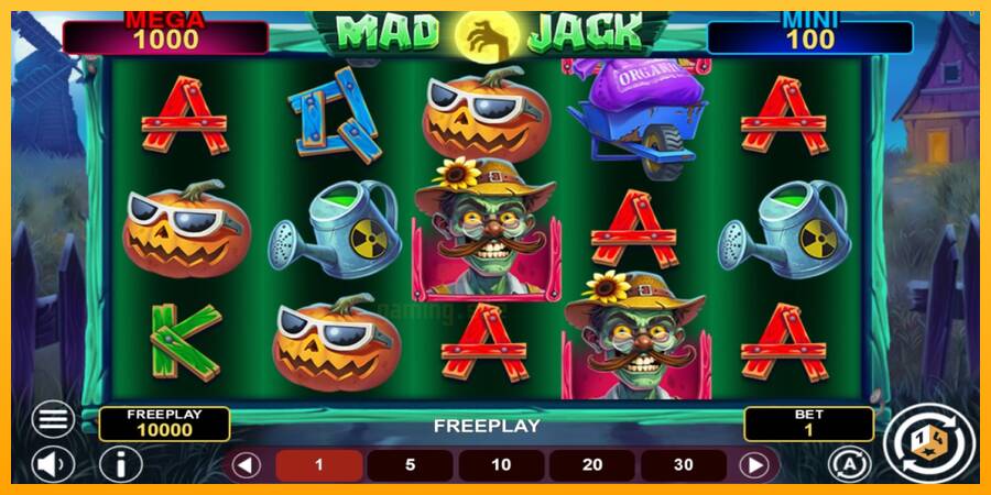 Mad Jack Hold & Win gaming machine for money, picture 1