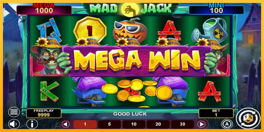 Mad Jack Hold & Win gaming machine for money, picture 2