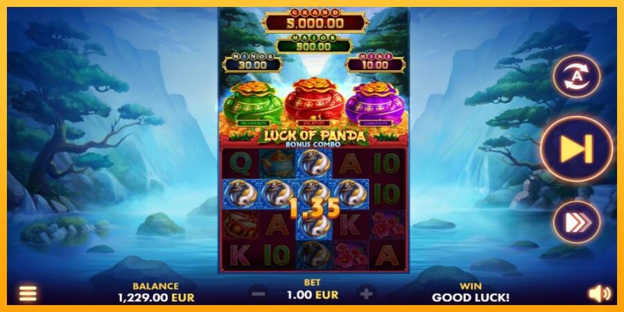 Luck of Panda Bonus Combo gaming machine for money, picture 2