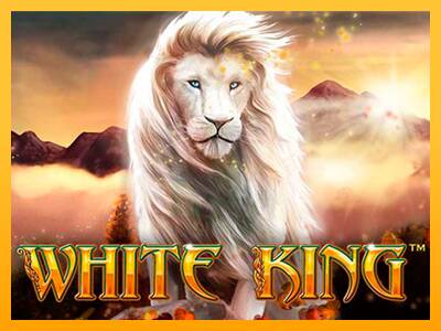 White King gaming machine for money