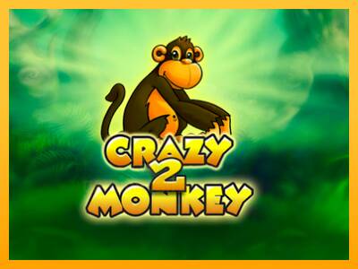 Crazy Monkey 2 gaming machine for money