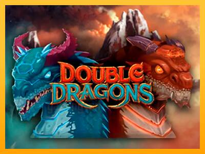 Double Dragons gaming machine for money