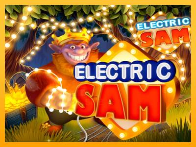 Electric Sam gaming machine for money