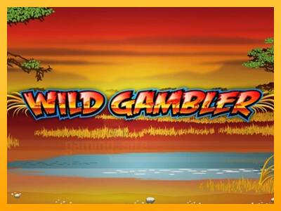 Wild Gambler gaming machine for money