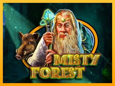 Misty Forest gaming machine for money