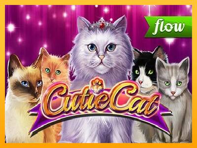 Cutie Cat gaming machine for money