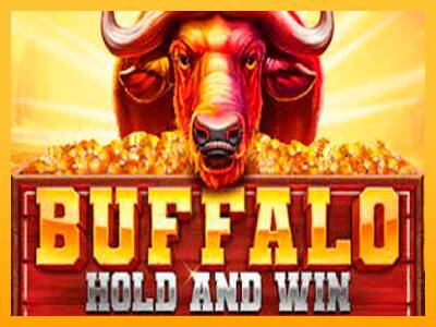 Buffalo Hold and Win Extreme gaming machine for money