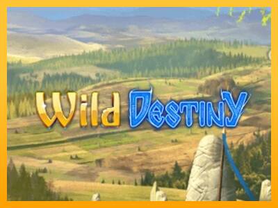 Wild Destiny gaming machine for money