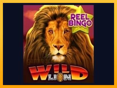 Wild Lion with Reel Bingo gaming machine for money