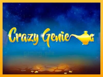 Crazy Genie gaming machine for money