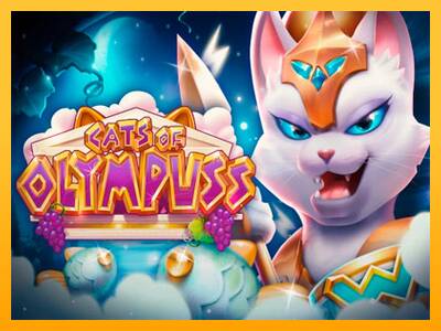 Cats of Olympuss gaming machine for money