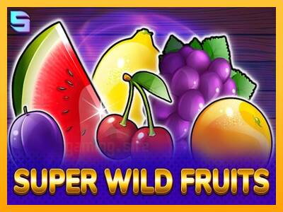 Super Wild Fruits gaming machine for money