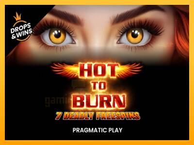 Hot to Burn - 7 Deadly Free Spins gaming machine for money