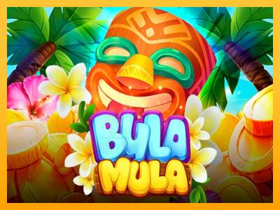 Bula Mula gaming machine for money