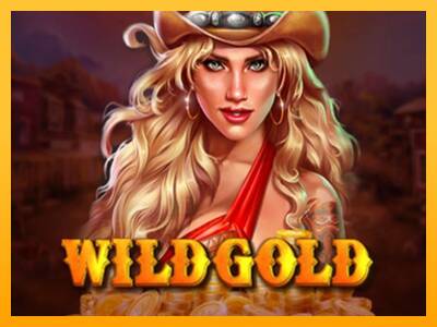 Wild Gold 100000 gaming machine for money